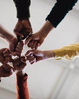 Fists in Solidarity